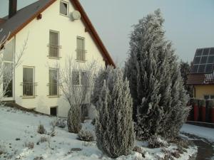 a house in the snow with trees in front at Ferienwohnung Belisa in Burgau