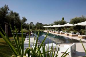 a pool of water with trees and palm trees at Hotel Les Cinq Djellabas in Douar Caïd Layadi