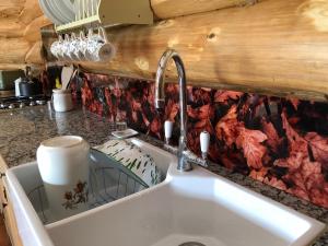a kitchen counter with a sink in a kitchen at Coed y Marchog Woodland Retreat in Hereford