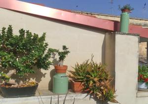 eine Gruppe von Topfpflanzen an der Seite eines Gebäudes in der Unterkunft B&B Corte dell' Idume in Lecce