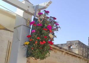 einen hängenden Blumenkorb an der Seite eines Gebäudes in der Unterkunft B&B Corte dell' Idume in Lecce