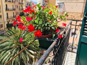 Foto dalla galleria di Gò Gò House a Palermo