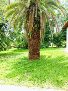 Galeriebild der Unterkunft Eco Pousada Passaredo in São Miguel Arcanjo