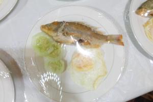 a plate of food with a fish and vegetables at Michelina Princess Guest House in Loboc