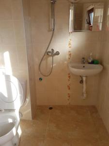 a bathroom with a shower and a toilet and a sink at Holiday House Krapets in Krapets +39 photos