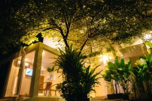 德瓦巴厘岛公寓式酒店外面的花园