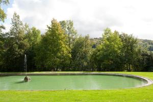 Der Swimmingpool an oder in der Nähe von Schloss Münchenwiler
