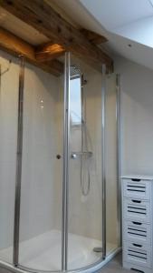 eine Dusche mit Glastür im Bad in der Unterkunft Ferienhof Hering in Hinterhermsdorf