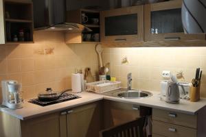 Kuchyň nebo kuchyňský kout v ubytování Posti Holiday Home