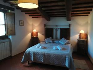 a bedroom with a bed with blue sheets and two lamps at Serre di Parrano in Nocera Umbra