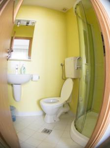 a bathroom with a toilet and a sink at Vila Raluca in Eforie Nord