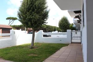 チクラナ・デ・ラ・フロンテーラにあるApartamento Can Mayor - Apartelius - Chiclanaの白柵の横の庭の木