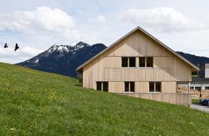 シュヴァルツェンベルク・イム・ブレゲンツァーヴァルトにあるFerienwohnung "Angelikahohe"の山を背景にした丘の上の木造家屋