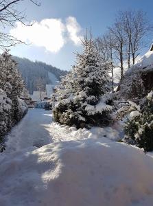 a snow covered road with a snow covered christmas tree at Figusówka in Zakopane