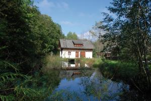 a house in the middle of a river with trees at Ferienhaus Klopeinersee Kärnten in Sittersdorf