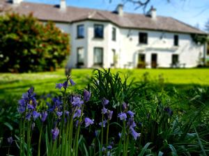 Bygningen som hotellet ligger i