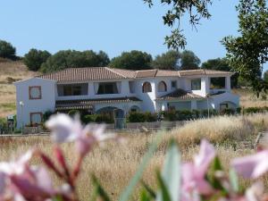 dom na polu z kwiatami na pierwszym planie w obiekcie Sardegna casa al mare San Teodoro Vaccileddi Porto San Paolo w mieście Porto San Paolo