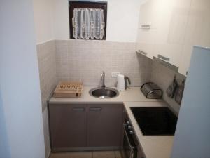 Kuchyň nebo kuchyňský kout v ubytování Apartman Pajo