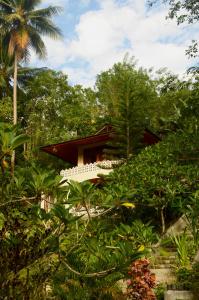um edifício no meio de uma floresta de árvores em Tangkoko Sanctuary Villa em Bitung