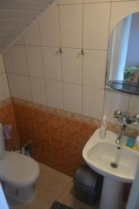 a bathroom with a toilet and a sink at Guesthouse "Nakvynė pas žveją" Vetrungiu Street 298-2 in Nida +24 photos