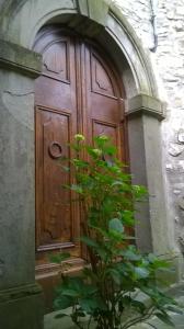 una puerta de madera en un edificio con una planta en la parte delantera en Cà Ermenegarda, en Bagnone