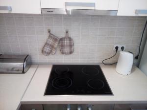 Kuchyň nebo kuchyňský kout v ubytování Apartman Pajo