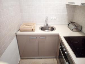 Kuchyň nebo kuchyňský kout v ubytování Apartman Pajo