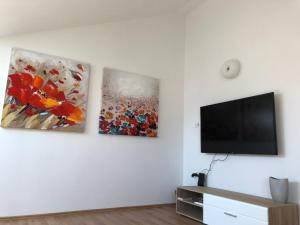 TV a/nebo společenská místnost v ubytování Hana Apartment