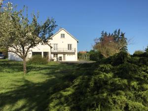 a white house with a tree in the yard at Au nom des Dames in Faverolles-sur-Cher