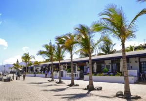 a row of palm trees in front of a building at Cozy boat to unwind by the ocean in Puerto Calero