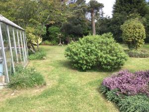a yard with some bushes and trees and a house at Ingleneuk Bed and Breakfast in Edinburgh