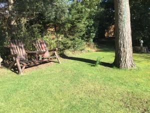 two wooden benches sitting next to a tree at Ingleneuk Bed and Breakfast in Edinburgh