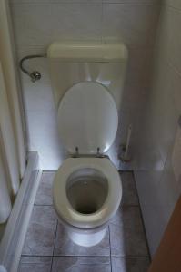 a bathroom with a white toilet in a stall at Na Rebri in Luče