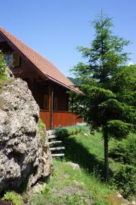 a tree in front of a house with a rock at Na Rebri in Luče