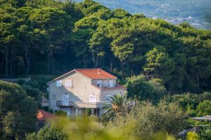 a house on the side of a hill with trees at Apartments & Rooms Tapera in Dubrovnik