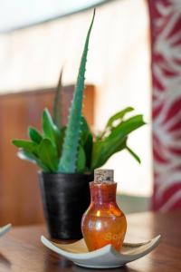 a vase on a plate next to a potted plant at Entumoto Toto Camp in Ololaimutiek