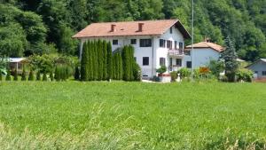 une maison blanche dans un champ d'herbe verte dans l'établissement Apartma Bača, à Most na Soči