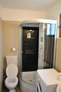 a bathroom with a white toilet and a shower at Casa Magnolia in Bran +34 photos