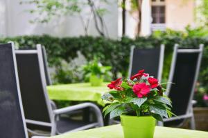 eine grüne Vase mit roten Blumen auf einem Tisch in der Unterkunft Garden Hotel in Nürnberg