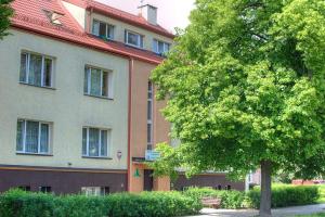Ogród w obiekcie Szkolne Schronisko Mlodziezowe w Olsztynie