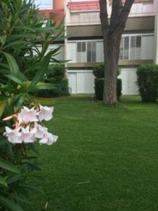 un fiore rosa in un giardino con un albero di Marina Di Bibbona a Marina di Bibbona