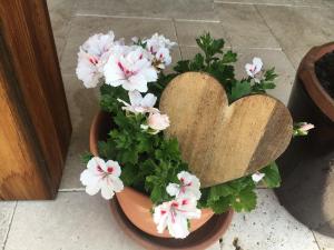 a potted plant with a wooden heart on it at Der Weber - Haus der Zukunft in Hermagor