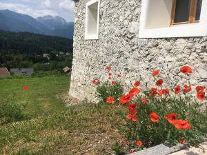 a group of red poppies next to a stone building at Der Weber - Haus der Zukunft in Hermagor