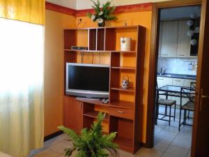 una sala de estar con TV en una estantería de madera. en Appartamento del Parco, en San Vicenzo di Galliera