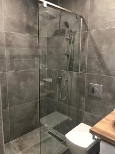 a bathroom with a glass shower with a toilet at Golden View Residence in Dhërmi