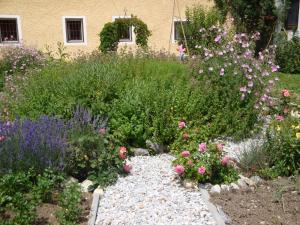 A garden outside Rinntaverne