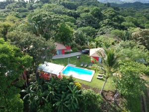 Πισίνα στο ή κοντά στο El nido rojo