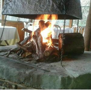 Φωτογραφία από το άλμπουμ του Las Casuarinas del Rio Capitan σε Tigre