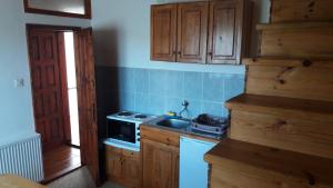 a small kitchen with a sink and a stove at Apartmani Ćetković in Žabljak
