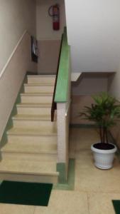 a staircase in a building with a potted plant at Apartamento Várzea in Teresópolis